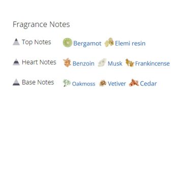 عطر ادکلن مردانه و زنانه الفکتیو استودیو اتوپورتریت