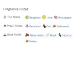 عطر ادکلن مردانه پارفومز د مارلی شاگیا