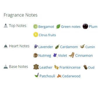 عطر ادکلن مردانه و زنانه هالفاتی لیدر