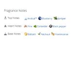 عطر ادکلن مردانه پورش دیزاین اسنس