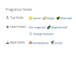 عطر ادکلن مردانه و زنانه جو مالون استار مگنولینا