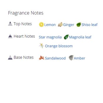 عطر ادکلن مردانه و زنانه جو مالون استار مگنولینا