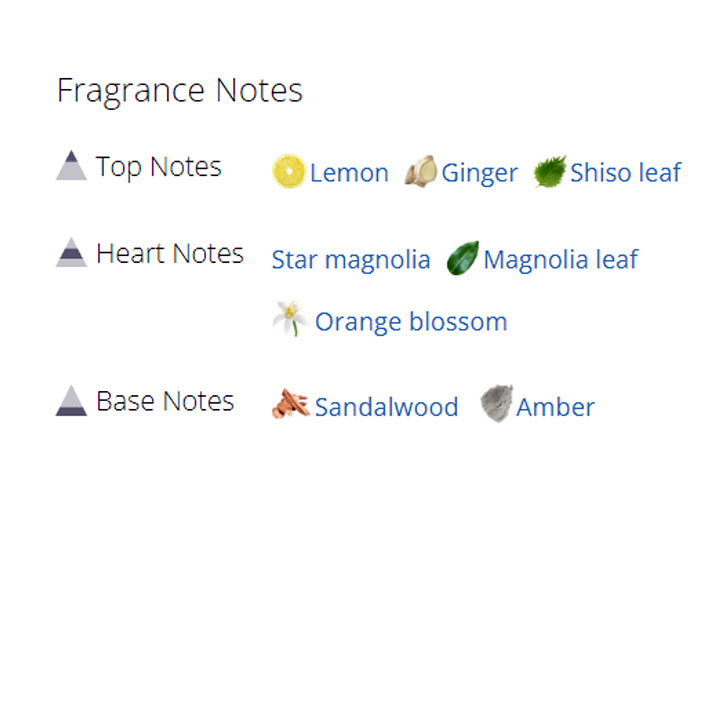 عطر ادکلن مردانه و زنانه جو مالون استار مگنولینا عطر ادکلن مردانه و زنانه جو مالون استار مگنولینا