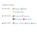 عطر ادکلن مردانه جان ریچموند