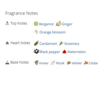 عطر ادکلن مردانه جان ریچموند