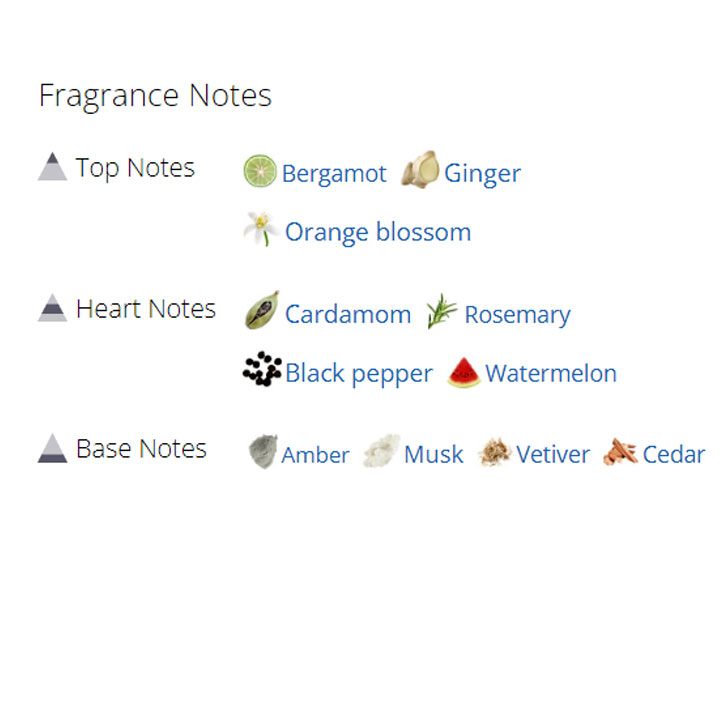 عطر ادکلن مردانه جان ریچموند عطر ادکلن مردانه جان ریچموند