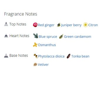 عطر ادکلن مردانه جان وارواتوس استار یو اس آ