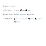 عطر ادکلن مردانه و زنانه اورلوو استار آف سیزن