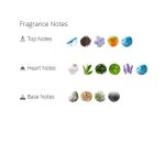 عطر ادکلن مردانه و زنانه اورتو پاریسی مگاماره