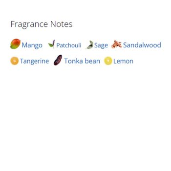 عطر ادکلن مردانه پولو بلک