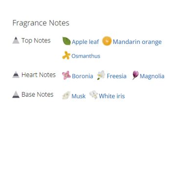 عطر ادکلن زنانه رالف