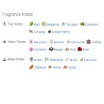 عطر ادکلن مردانه پولو سبز