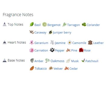 عطر ادکلن مردانه پولو سبز