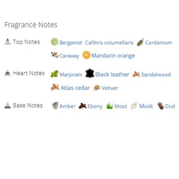 عطر ادکلن مردانه جویسی کوتور درتی انگلیش