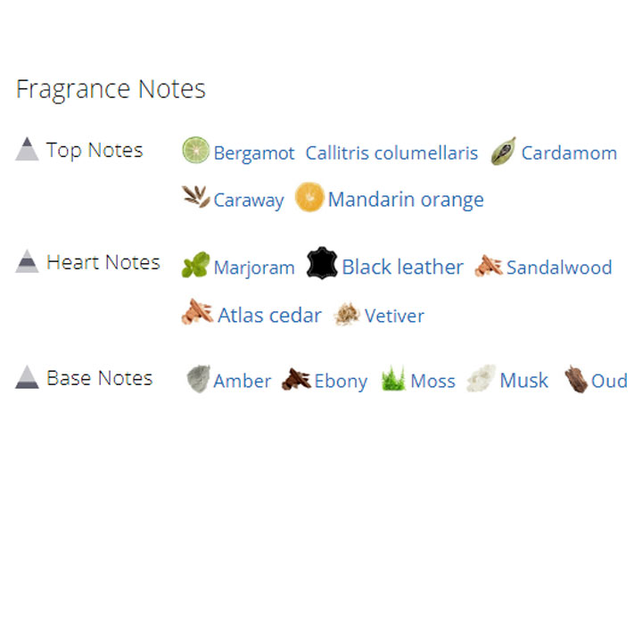 عطر ادکلن مردانه جویسی کوتور درتی انگلیش عطر ادکلن مردانه جویسی کوتور درتی انگلیش