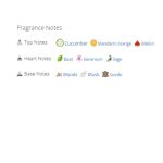 عطر ادکلن مردانه پولو بلو