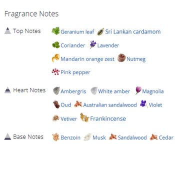 عطر ادکلن مردانه رامون مولویزار بلک کیوب