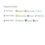 عطر ادکلن مردانه و زنانه کیلیان بامبو هارمونی