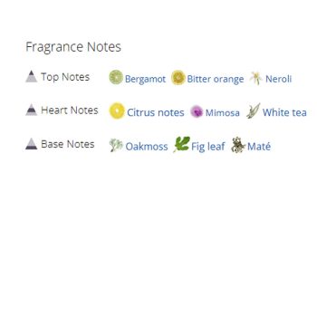 عطر ادکلن مردانه و زنانه کیلیان بامبو هارمونی