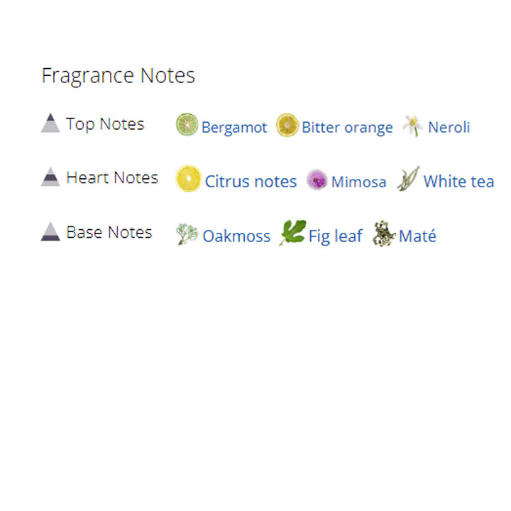 عطر ادکلن مردانه و زنانه کیلیان بامبو هارمونی عطر ادکلن مردانه و زنانه کیلیان بامبو هارمونی