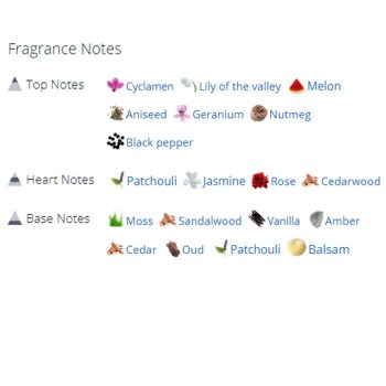 عطر ادکلن مردانه فایو المنت