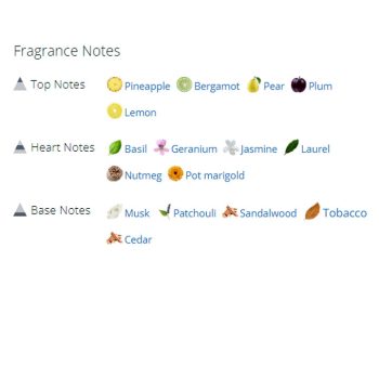 عطر ادکلن مردانه سیگار