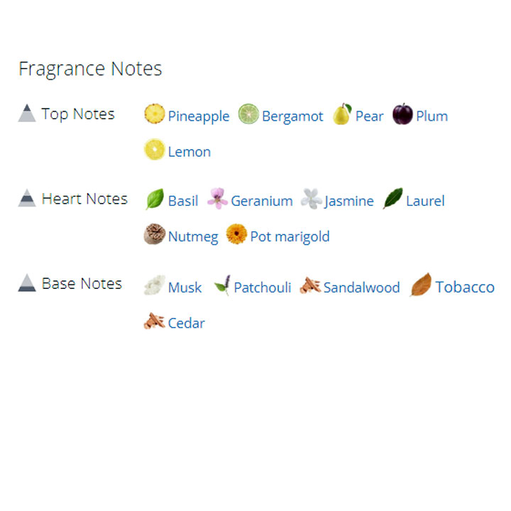 عطر ادکلن مردانه سیگار عطر ادکلن مردانه سیگار