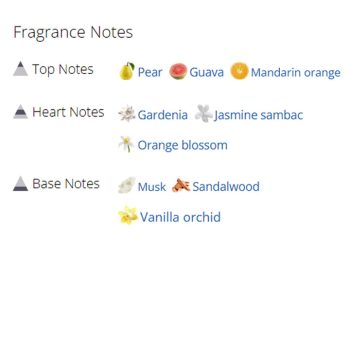 عطر ادکلن زنانه ریحانا نود