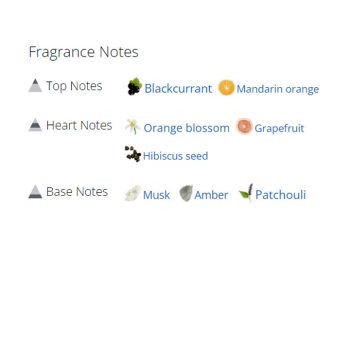 عطر ادکلن زنانه روبرتو کاوالی فلورنس