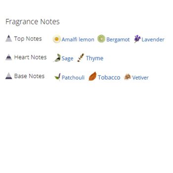 عطر ادکلن مردانه اوپن