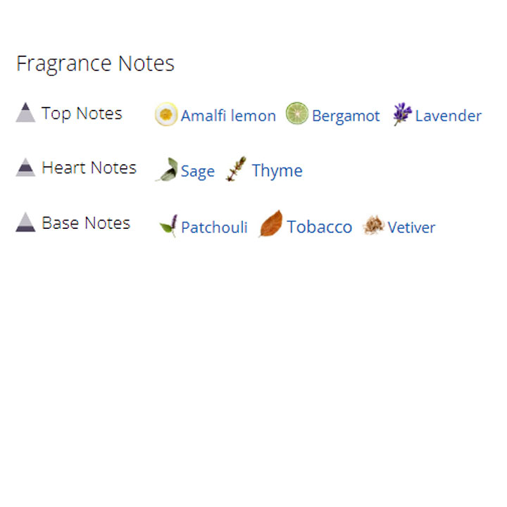 عطر ادکلن مردانه اوپن عطر ادکلن مردانه اوپن