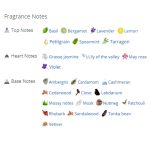 عطر ادکلن مردانه روژا داو اسکاندال پور هوم