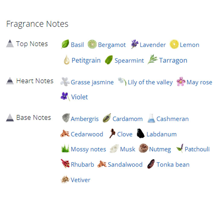 عطر ادکلن مردانه روژا داو اسکاندال پور هوم عطر ادکلن مردانه روژا داو اسکاندال پور هوم