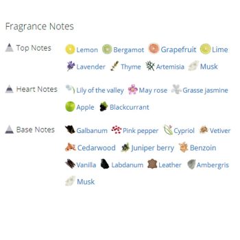 عطر ادکلن مردانه الیزیوم پور هوم