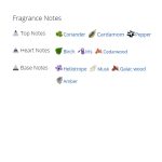 عطر ادکلن مردانه اس تی دوپوان پور هوم