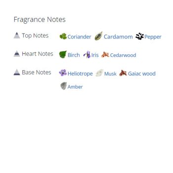 عطر ادکلن مردانه اس تی دوپوان پور هوم