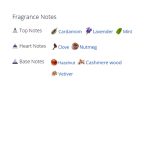 عطر ادکلن مردانه اس تی دوپوان نویر