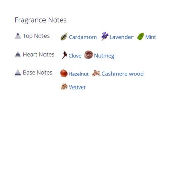 عطر ادکلن مردانه اس تی دوپوان نویر