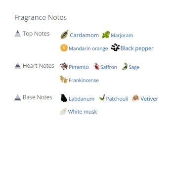 عطر ادکلن مردانه اتیمو پور هوم