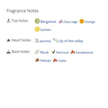 عطر ادکلن مردانه و زنانه چیک شیخ شماره 70