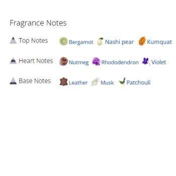 عطر ادکلن مردانه ذن