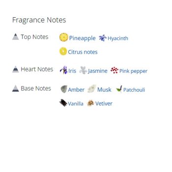 عطر ادکلن مردانه و زنانه اچنتو