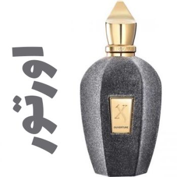 عطر ادکلن مردانه و زنانه اورتور (زرژف)