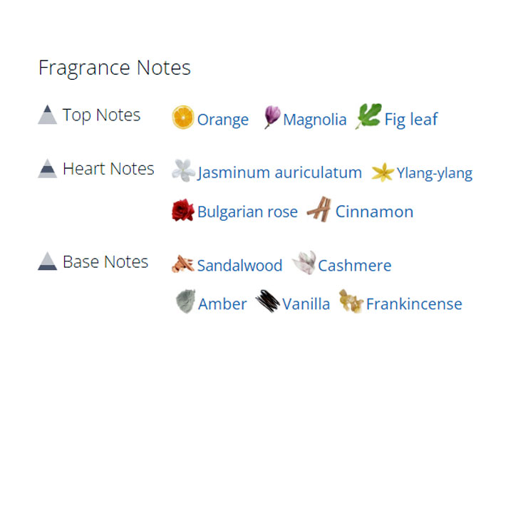 عطر ادکلن مردانه و زنانه اورتور عطر ادکلن مردانه و زنانه اورتور