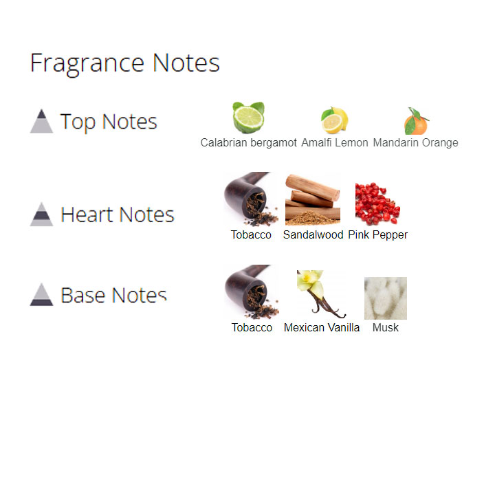 عطر ادکلن مردانه و زنانه انسمبل عطر ادکلن مردانه و زنانه انسمبل