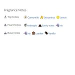 عطر ادکلن مردانه و زنانه سولیل د جده