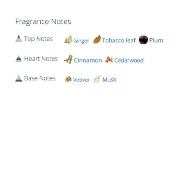 عطر ادکلن مردانه آرابسک