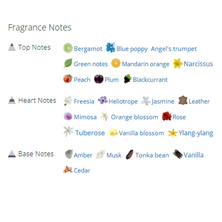 عطر ادکلن زنانه لانکوم پوئم عطر ادکلن زنانه لانکوم پوئم