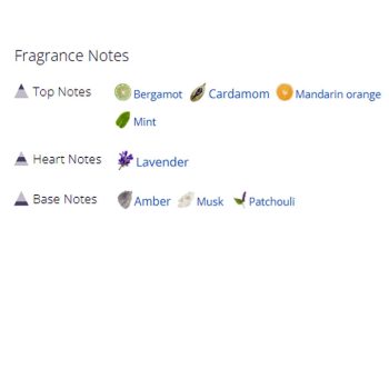 عطر ادکلن مردانه لانکوم هیپنوز هوم