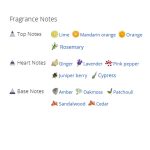 عطر ادکلن مردانه ایسه میاکه لئو بلو